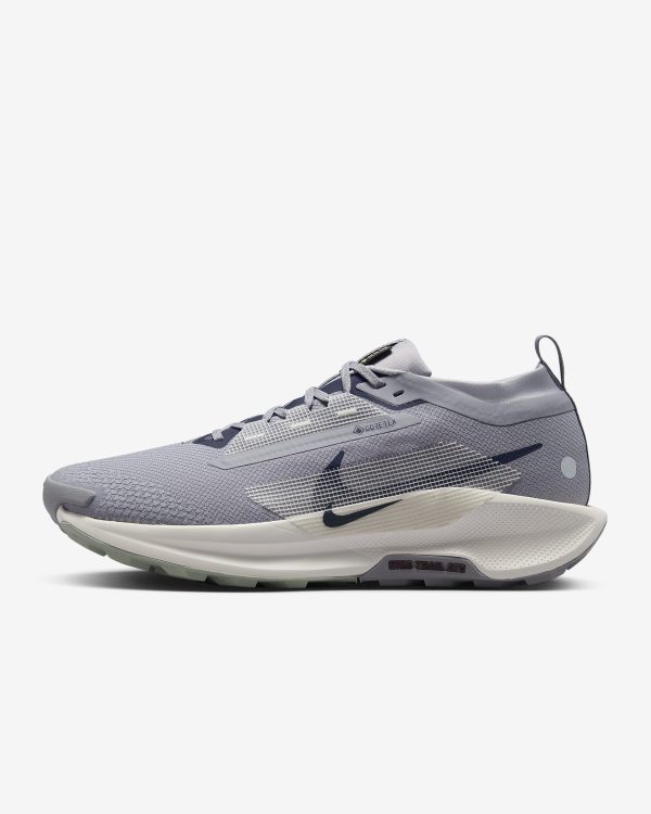 Nike Pegasus Trail 5 GORE-TEX