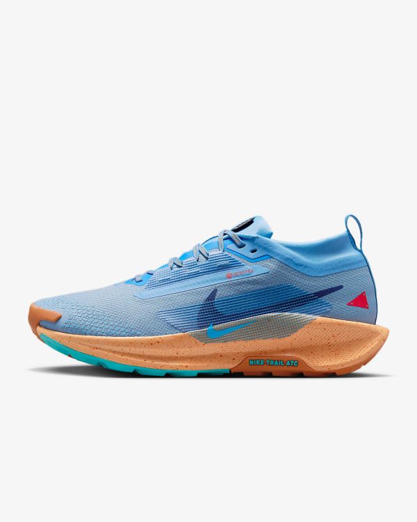 Nike Pegasus Trail 5 GORE-TEX