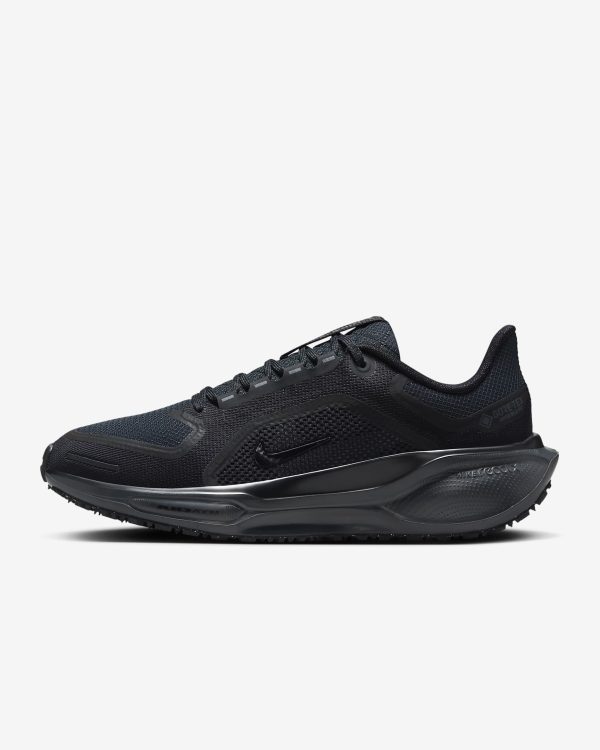 Nike Pegasus 41 GORE-TEX