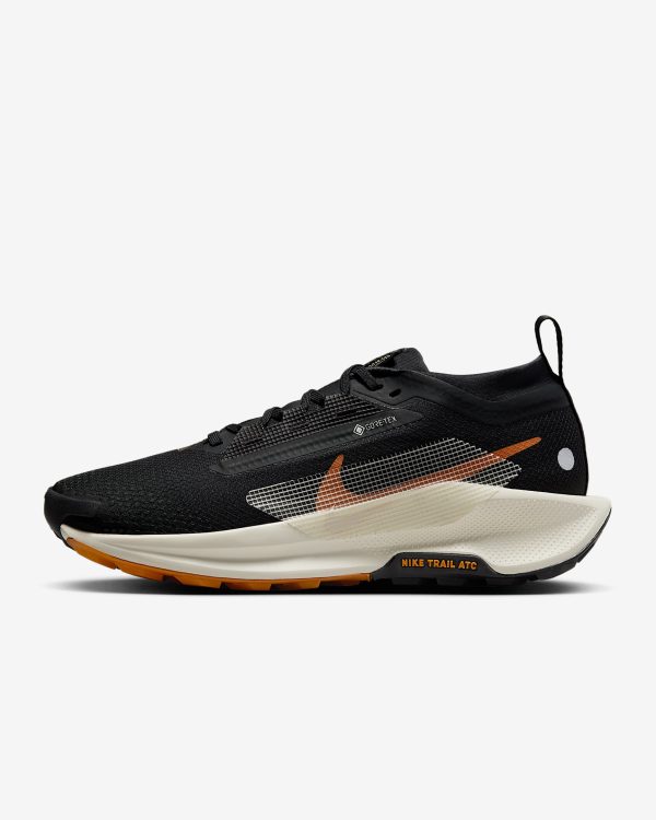 Nike Pegasus Trail 5 GORE-TEX